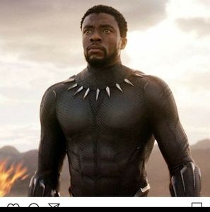 Meet your Posher, Alvin